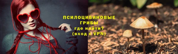 COCAINE Богородицк