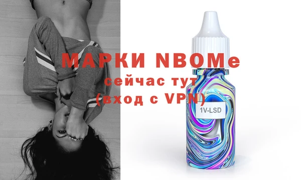 дмт Богданович