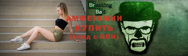 дмт Богданович