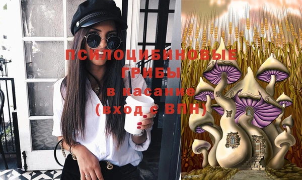 дмт Бронницы
