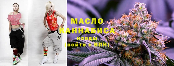 дмт Богданович