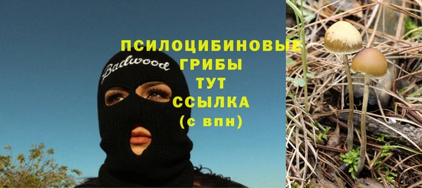 COCAINE Богородицк