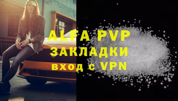 дмт Богданович