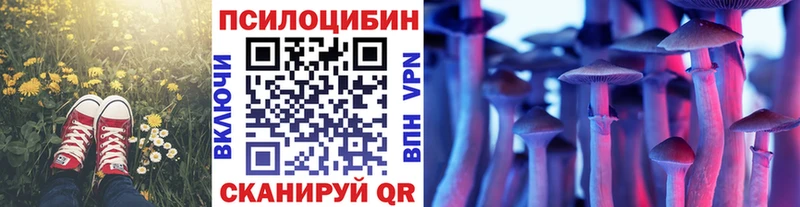 Псилоцибиновые грибы прущие грибы  гидра сайт  Мураши 